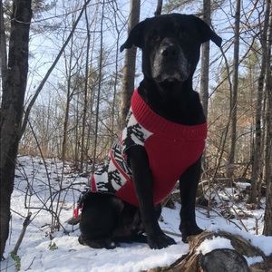 Meet your Posher, Meredith